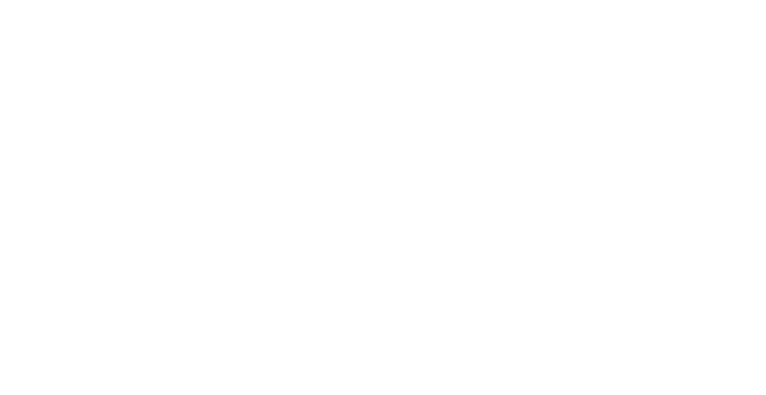 I-V Characteristic Curve.