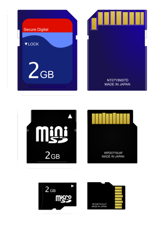 Picture showing different sizes of SD card.
