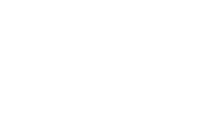 Dundalk Institute Logo