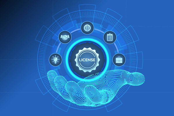 Proteus Network Licensing