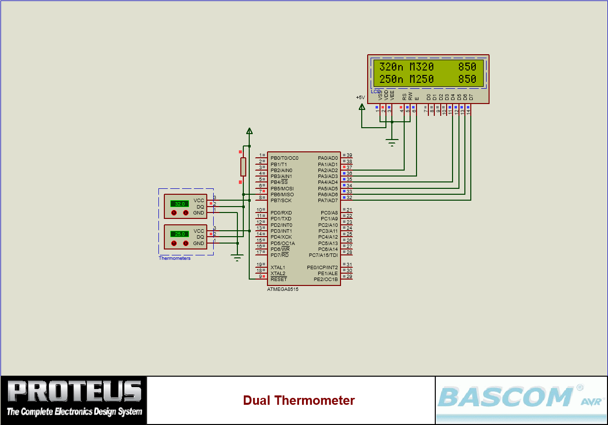 Dual Thermometer